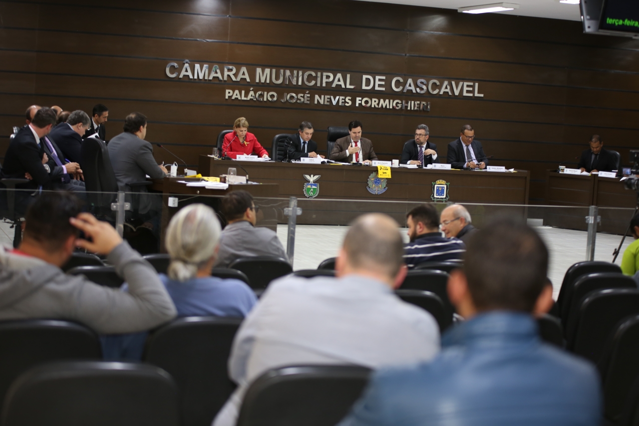 Saiba Como Foram As Vota Es Em De Maio De C Mara Municipal